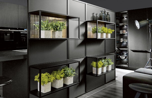 P-Line Pro OS Organisch Platinum