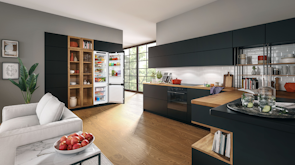 Bosch accent line koelkasten