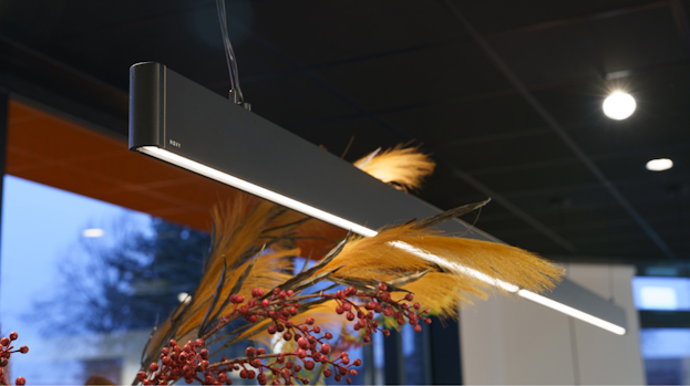 Novy verlichting