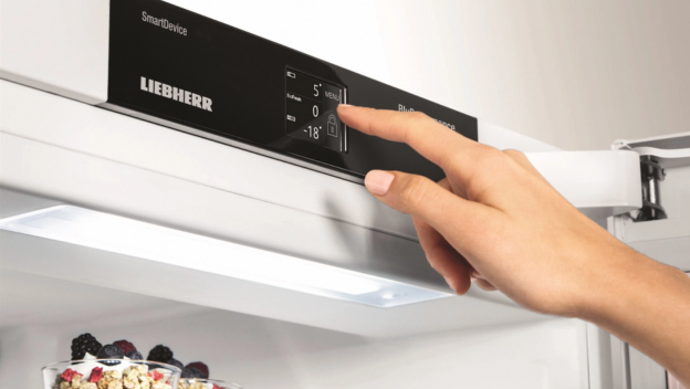 Wat is de beste temperatuur voor een vriezer?