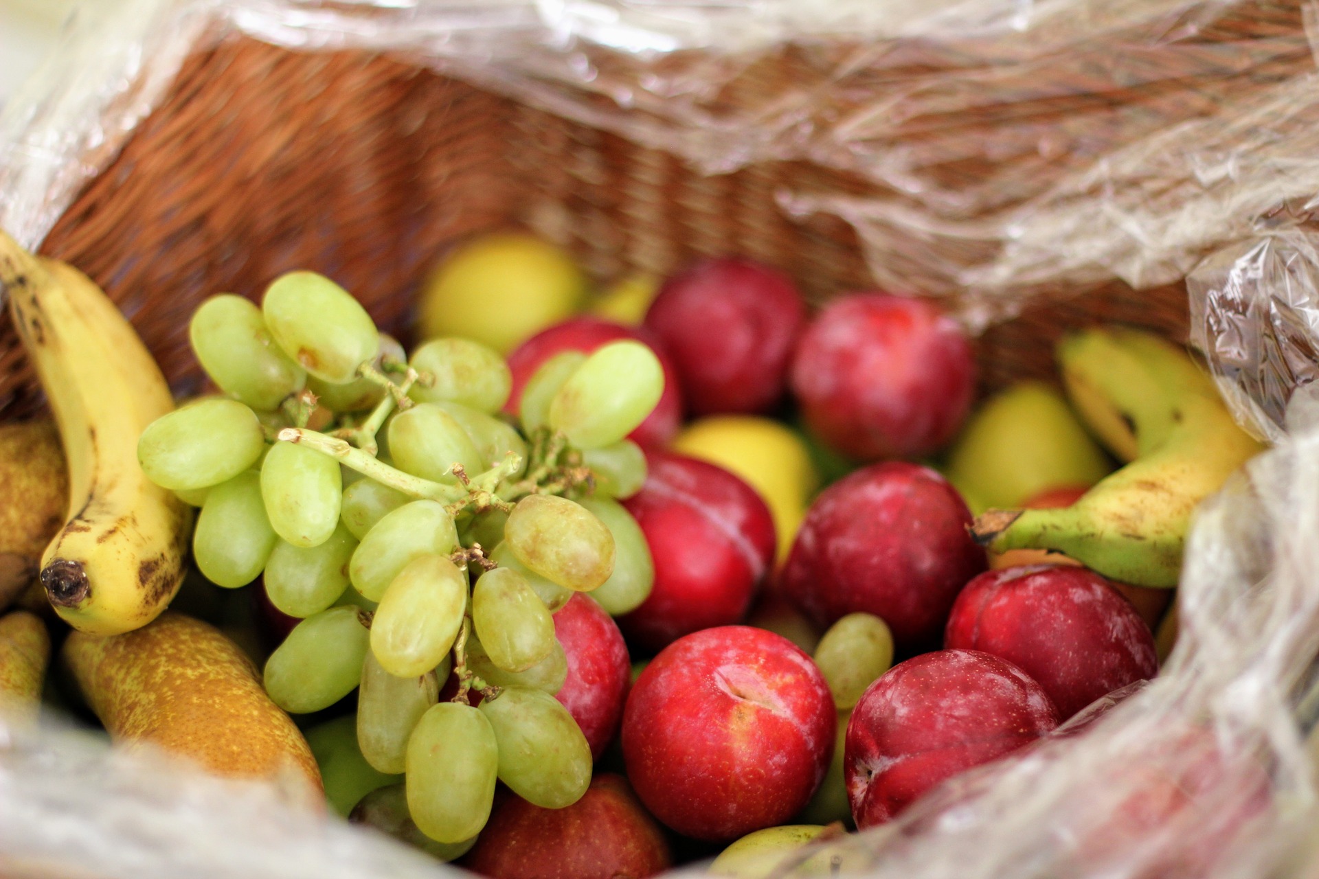 Fruit