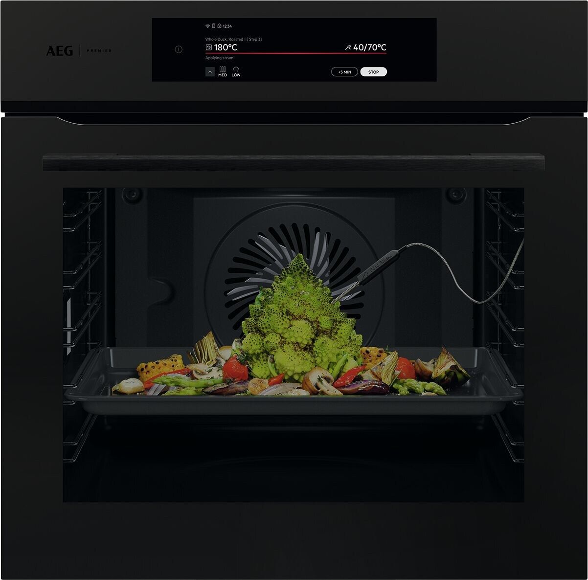 AEG BP9200T