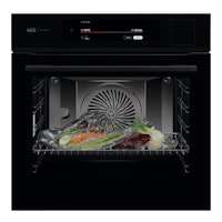 AEG BS9900B