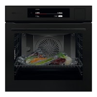 AEG BS9900T