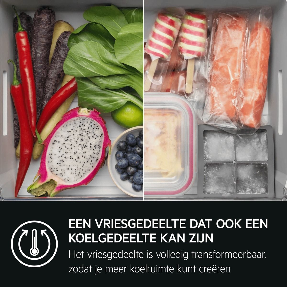 AEG koelkast inbouw NSC9M181CS afbeelding 4