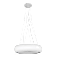 Airone E001IRIS