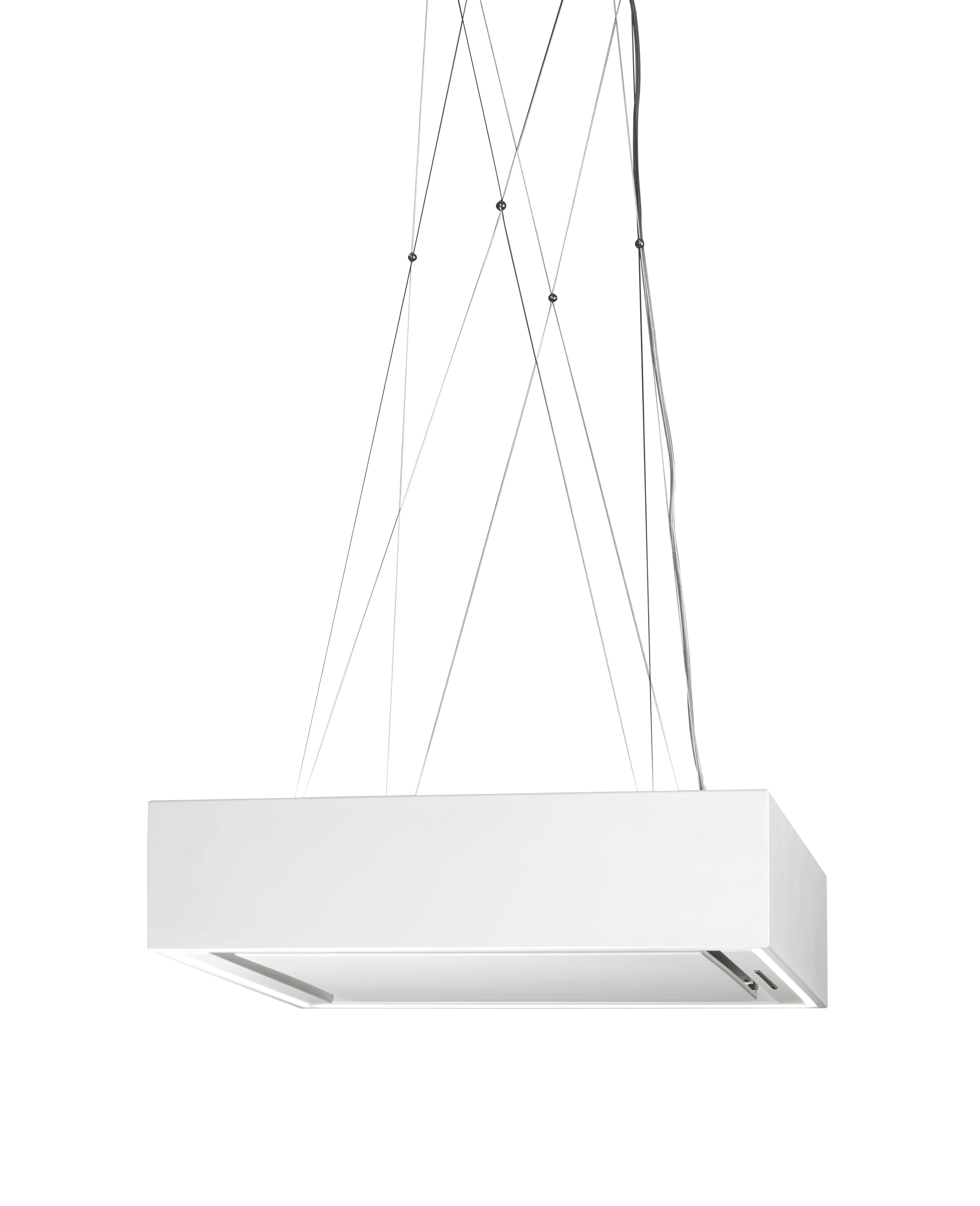 Airone E003BELLINI