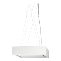 Airone E006BELLINI