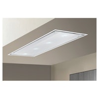 Airone P001FENICE