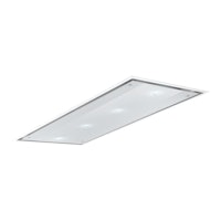 Airone P006FENICE