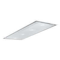 Airone P006FENICE