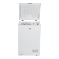 Beko CF100EWN