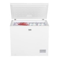 Beko CF200EWN