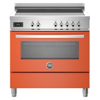 Bertazzoni PRO95I1EART