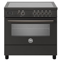 Bertazzoni PRO95I1ECAT2