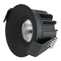 DPS 004165