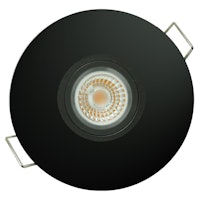 DPS 004732