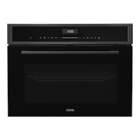 Etna CM250TI