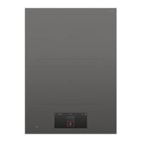 Fisher & Paykel CI392DTTG1