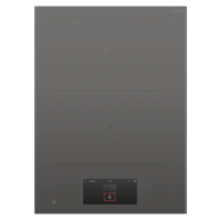 Fisher & Paykel CI392DTTG1