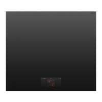 Fisher & Paykel CI604DTTB1