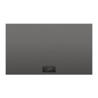 Fisher & Paykel CI905DTTG1