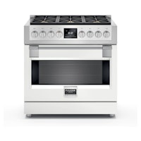 FULGOR FF36EGPW
