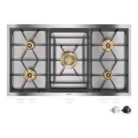 Gaggenau VG491115F