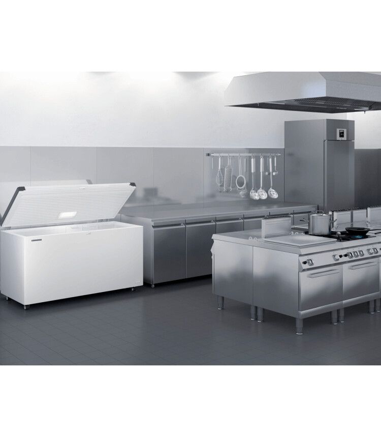 Liebherr vriezer vrijstaand EFL 3055-20 afbeelding 4