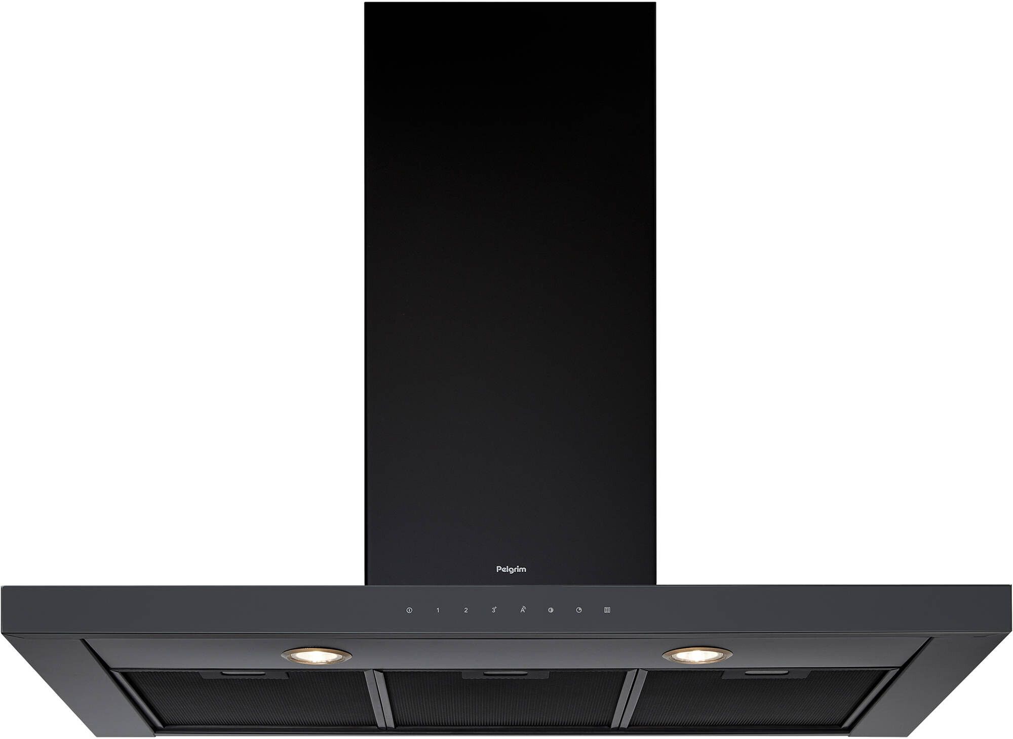 PELGRIM BSGA970ANT