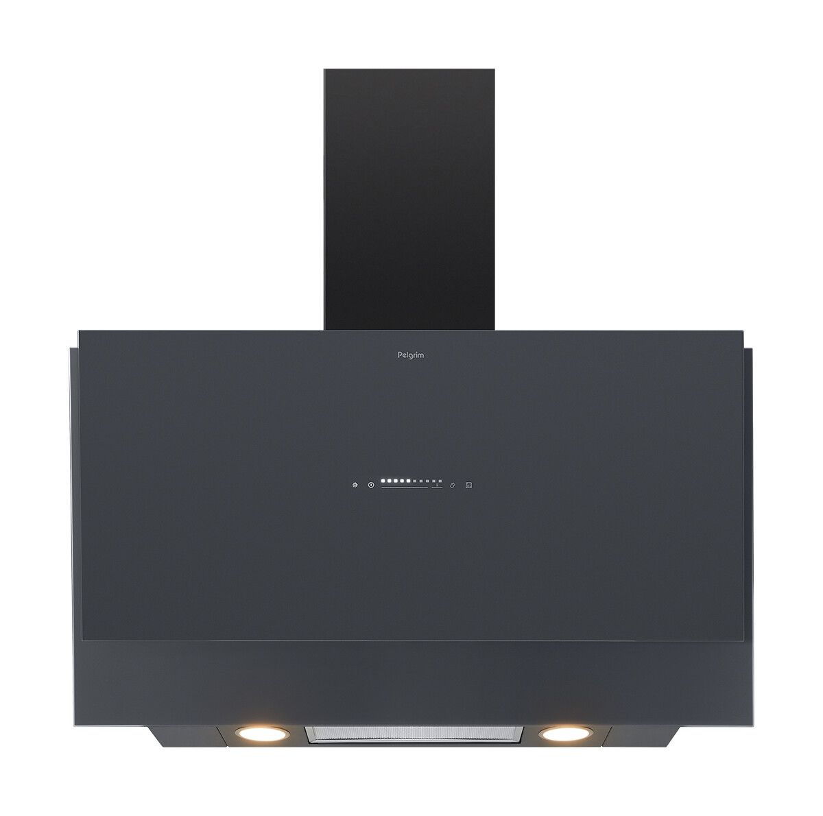 PELGRIM DSG880ANT