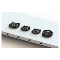 PITTCOOKING DANAUFRONTPRO