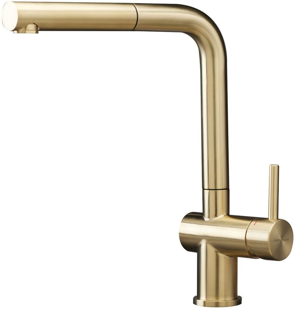 Reginox R38796