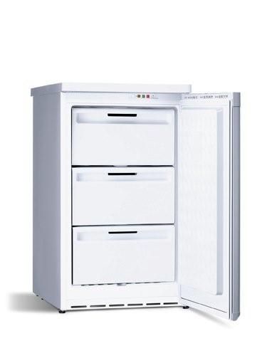 Siemens GS10DN21