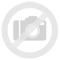 Siemens SF25T257