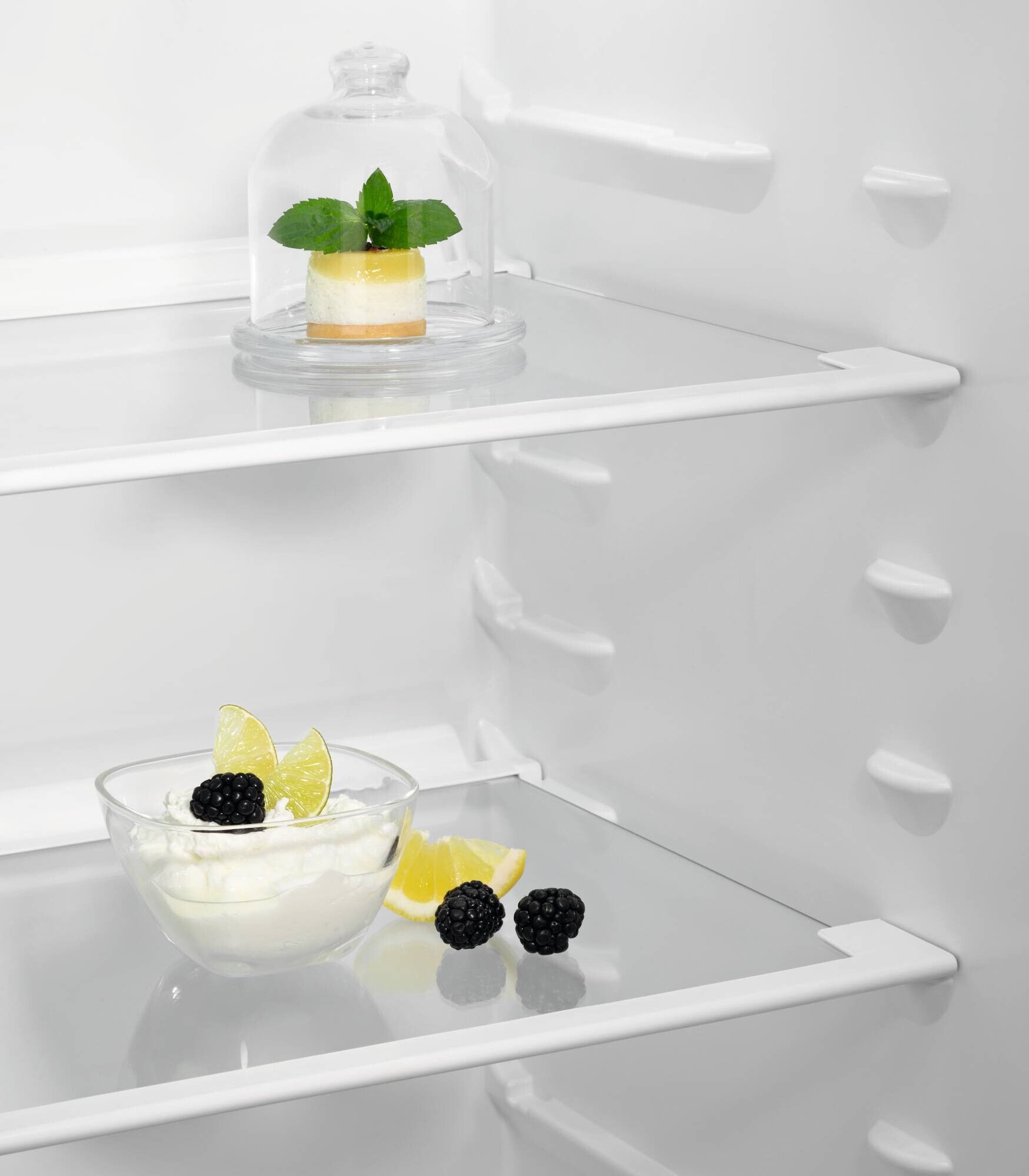 Zanussi koelkast ZRAK10FS3 afbeelding 3